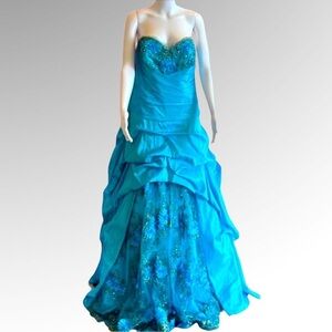Cinderella divine gown.
